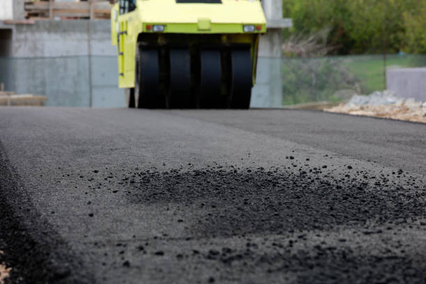 Best Local Driveway Pavers  in Plymouth, CA